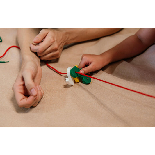 Animals: Lacing, Threading, Playdough shapes