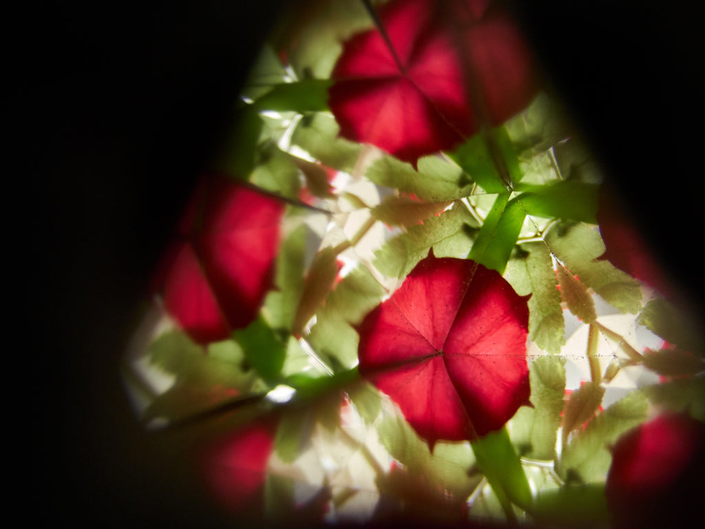 Kaleidoscope view