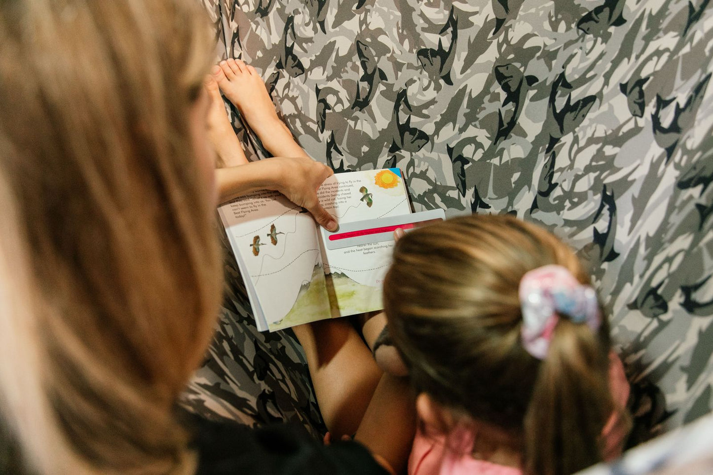 Colour Reading Guide *Colour Reading Ruler